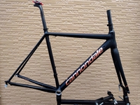 Cannondale CAAD12 COLORS ﾌﾚｰﾑｾｯﾄ-(新潟の自転車のプロショップ-佐々木輪店)