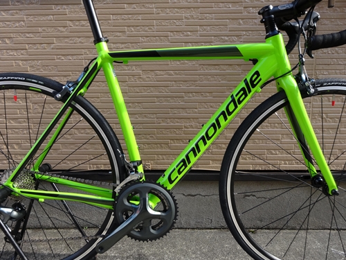 2019' Cannondale CAAD Optimo Tiagra -(新潟の自転車のプロショップ